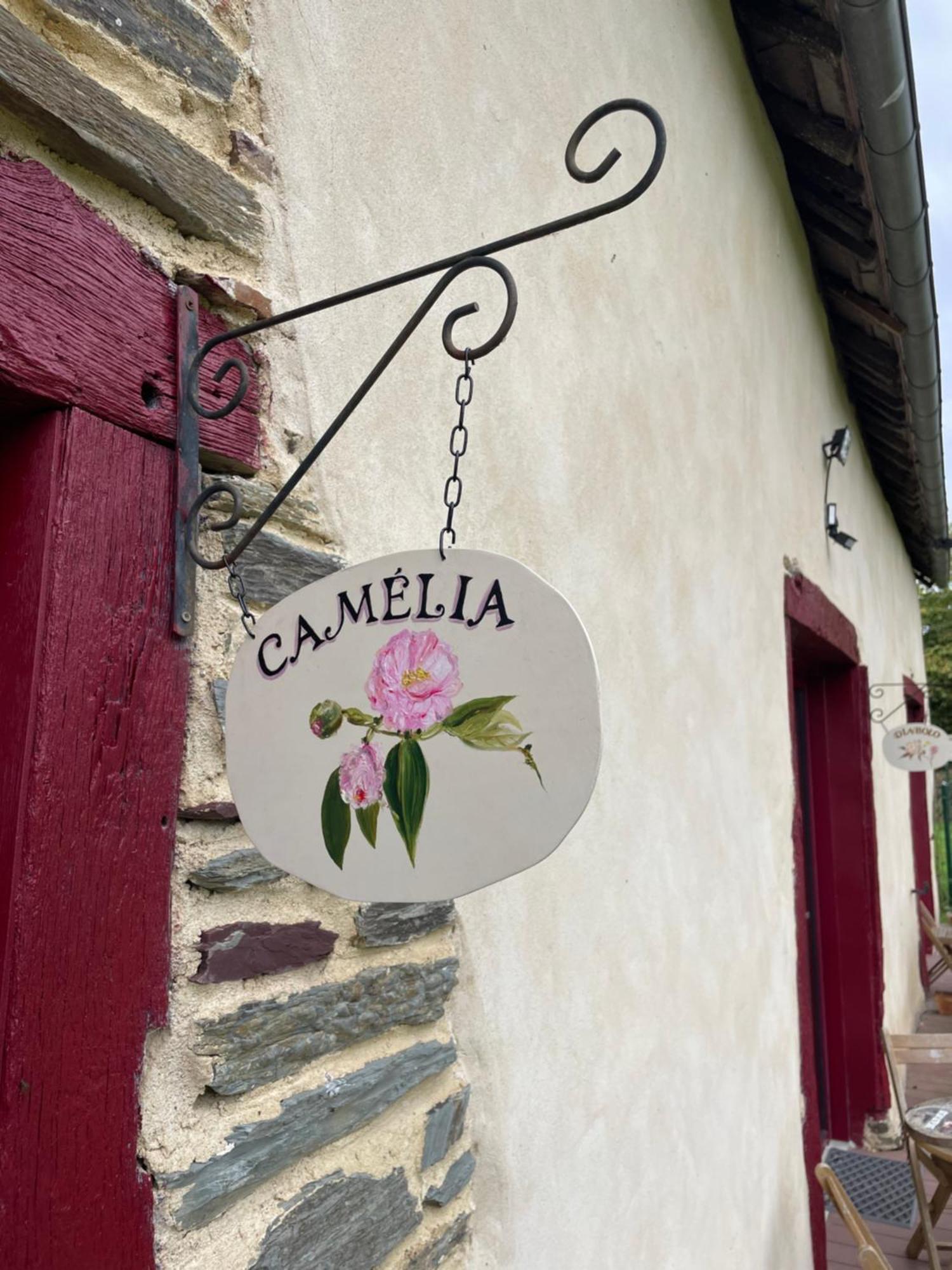La Malcotais Bed and Breakfast Noyal-Chatillon-sur-Seich Buitenkant foto